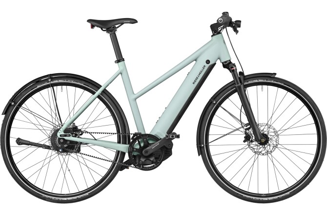 Riese und Müller Roadster4 Mixte vario T salvia