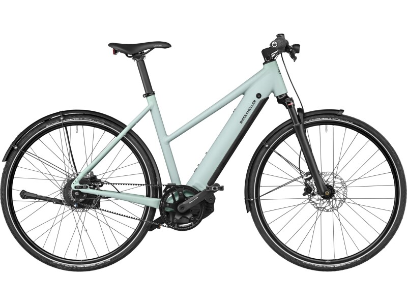 Riese und Müller Roadster4 Mixte vario T salvia