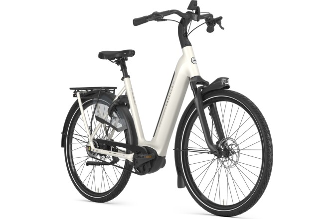 Gazelle Arroyo C5 Elite