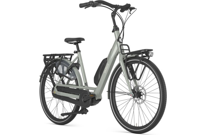 Gazelle Bloom C310