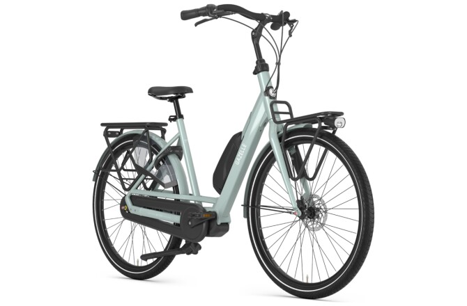 Gazelle Bloom C7