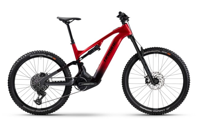 Haibike ALLMTN CF 9