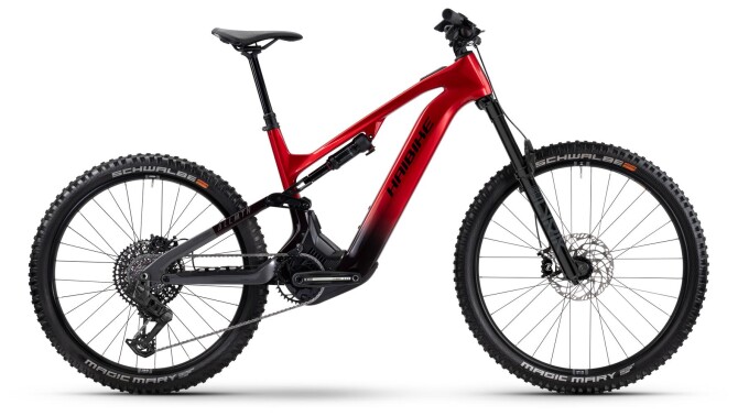 Haibike ALLMTN CF 9