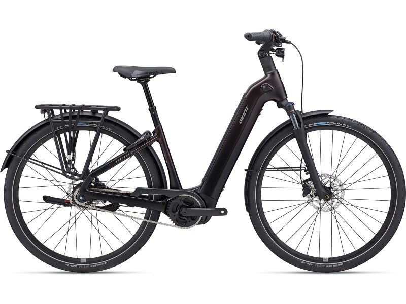 GIANT AnyTour E+ 4 RT