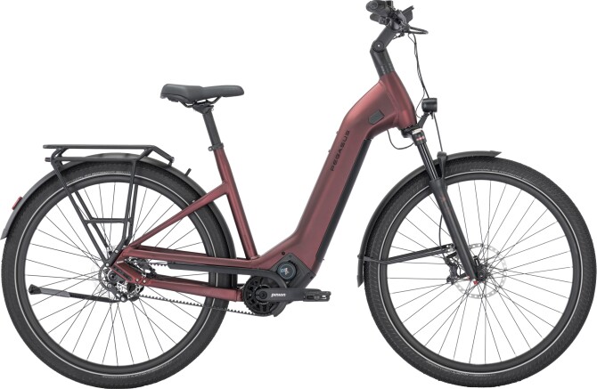 Pegasus ESTREMO EVO 12 Lite