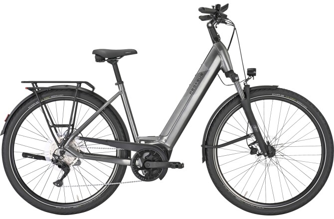PEGASUS PREMIO EVO 10