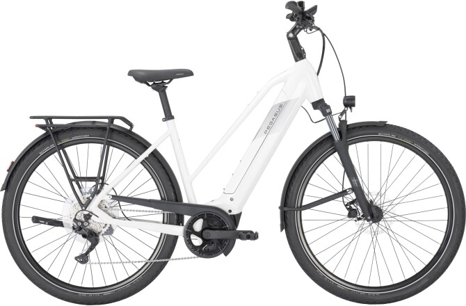 PEGASUS PREMIO EVO 10