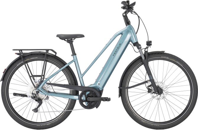 Pegasus PREMIO EVO 10