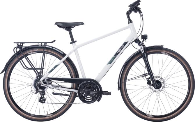 PEGASUS Solero SL Disc 24