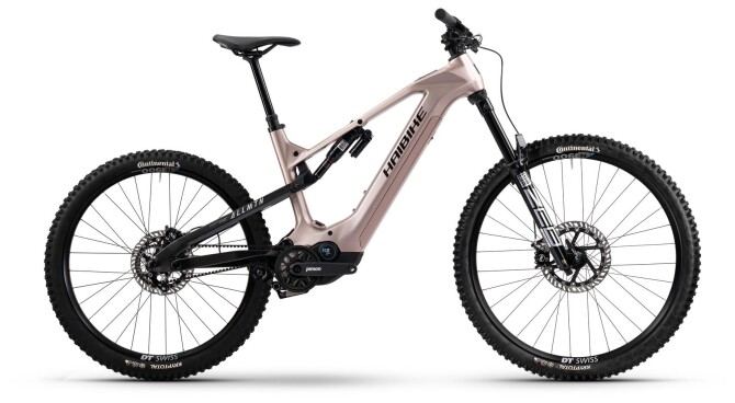 Haibike ALLMTN CF 11 TRN/IQ