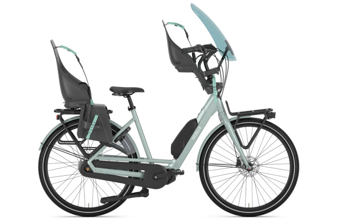 Gazelle Bloom C7