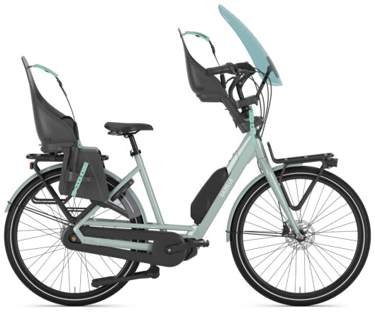 Gazelle Bloom C7