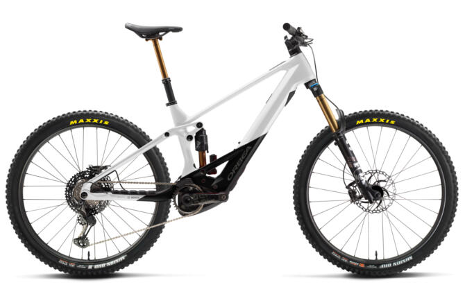 Orbea WILD M-TEAM