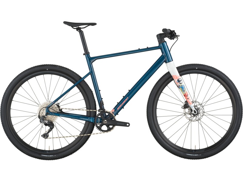 Bergamont Grandurance FB 20