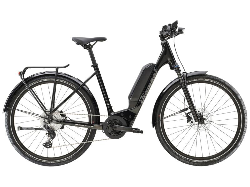 Diamant Zing Gen 2 (Einstieg: tief)