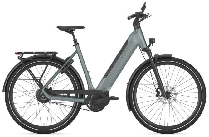 Gazelle Ultimate C380