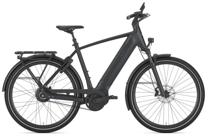 Gazelle Ultimate C380