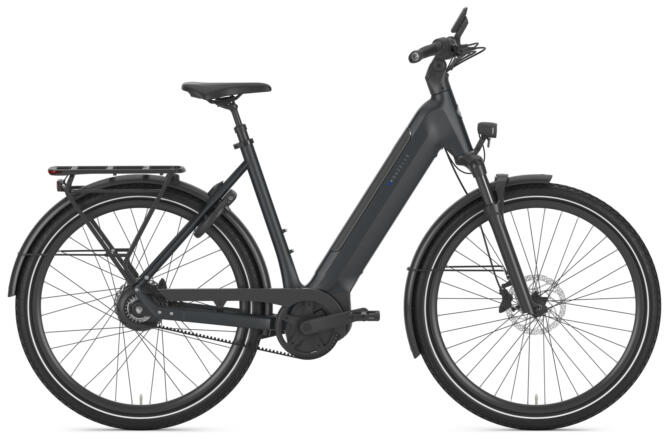 Gazelle Ultimate C380