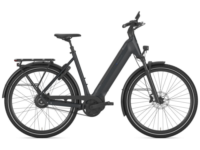 Gazelle Ultimate C380