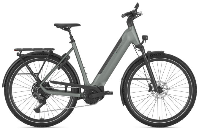 Gazelle Ultimate T11