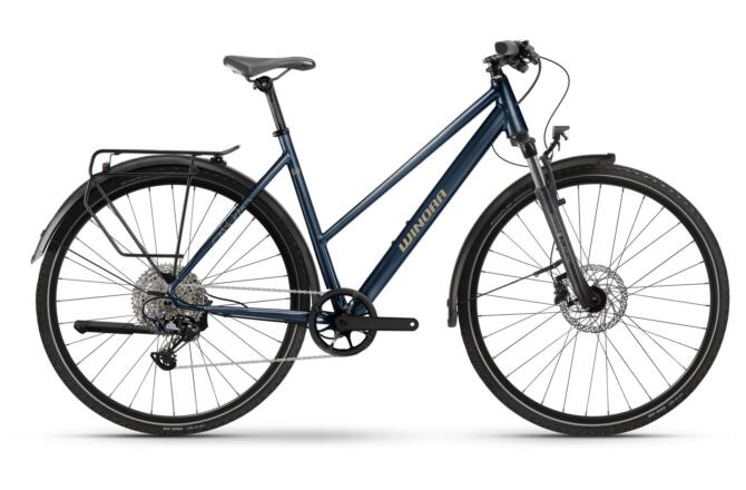 Winora Domingo X12 Pro