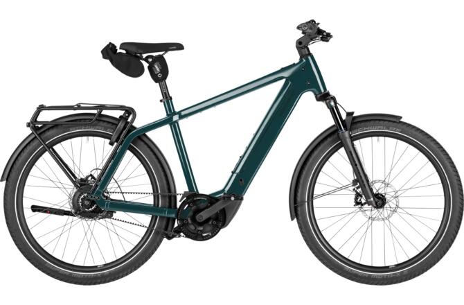 Riese und Müller Charger5 vario pine