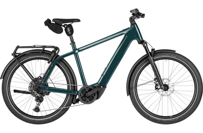 Riese und Müller Charger5 touring T pine