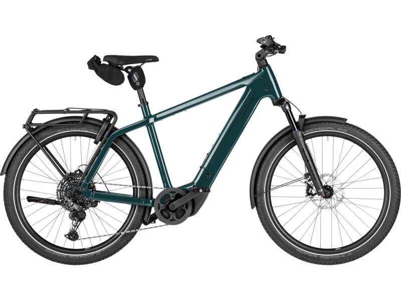 Riese und Müller Charger5 touring T pine