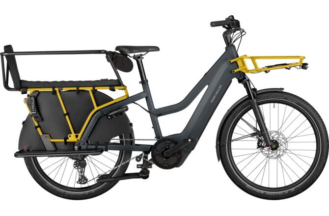 Riese und Müller Multicharger3 Mixte FAMILY T grey/curry