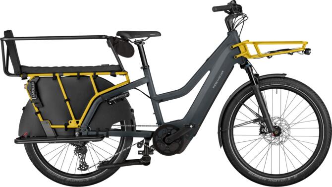 Riese und Müller Multicharger3 Mixte FAMILY T grey/curry