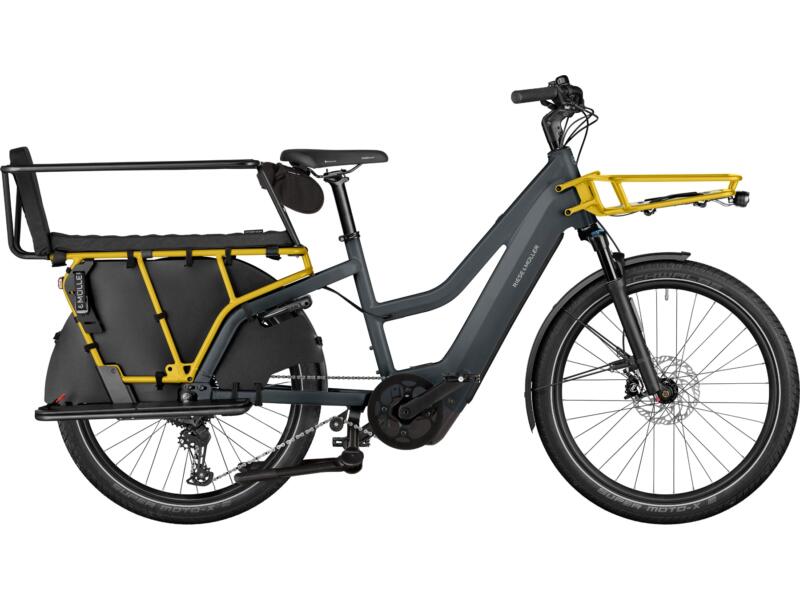 Riese und Müller Multicharger3 Mixte FAMILY T grey/curry