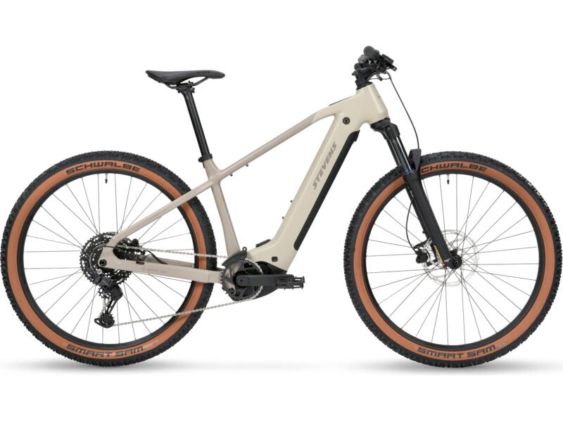 Stevens E-Agnello 6.6.1