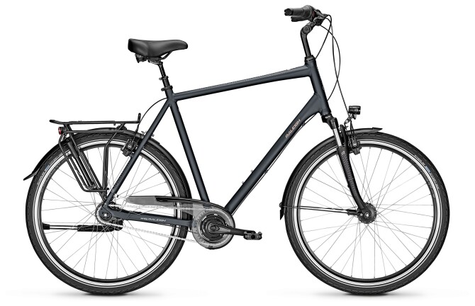 Raleigh CHESTER 8 XXL