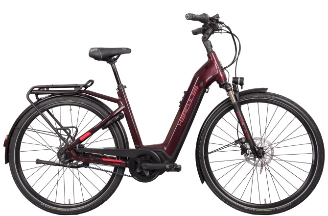 E-Bike Hercules Robert/a Pro I-R8 in Hanau