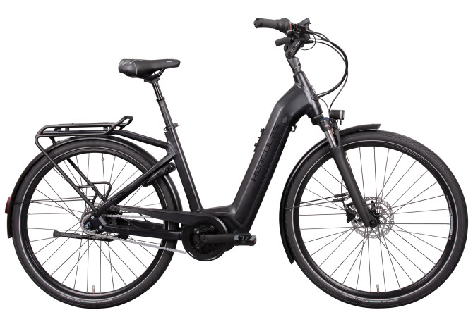 E-Bike Hercules Robert/a Deluxe I-R8 in Hanau