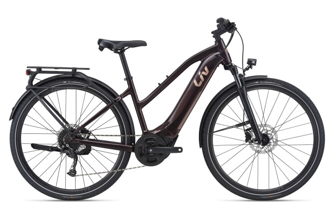 E-Bike Liv Amiti-E+ 2 in Hanau