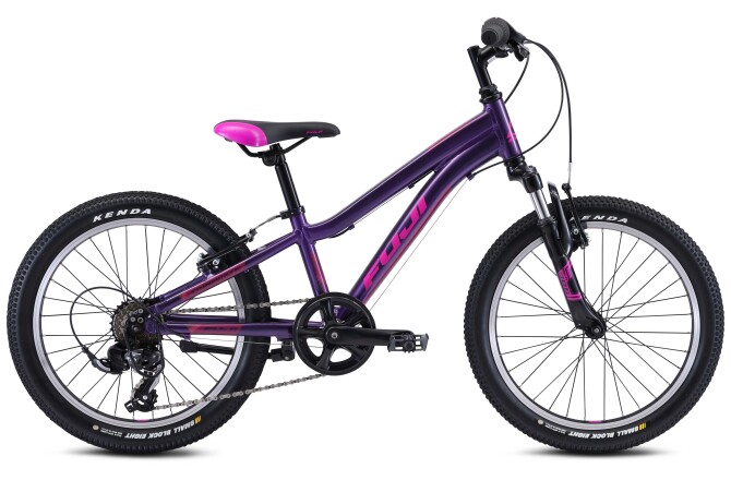 Fuji DYNAMITE 20