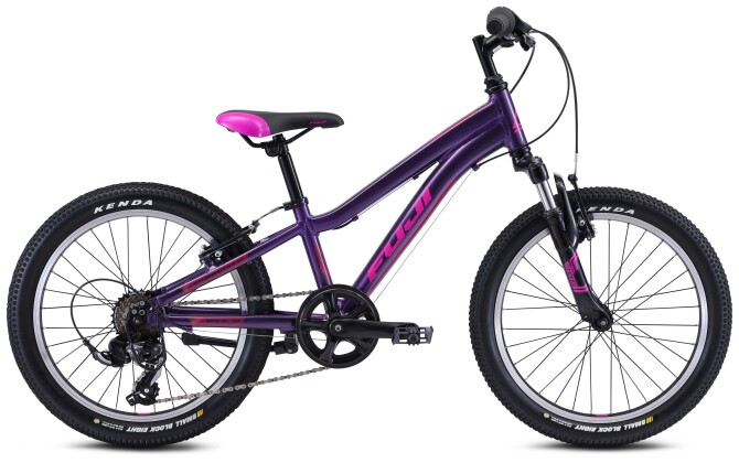 Fuji DYNAMITE 20