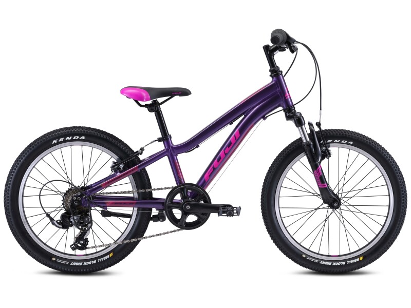 Fuji DYNAMITE 20