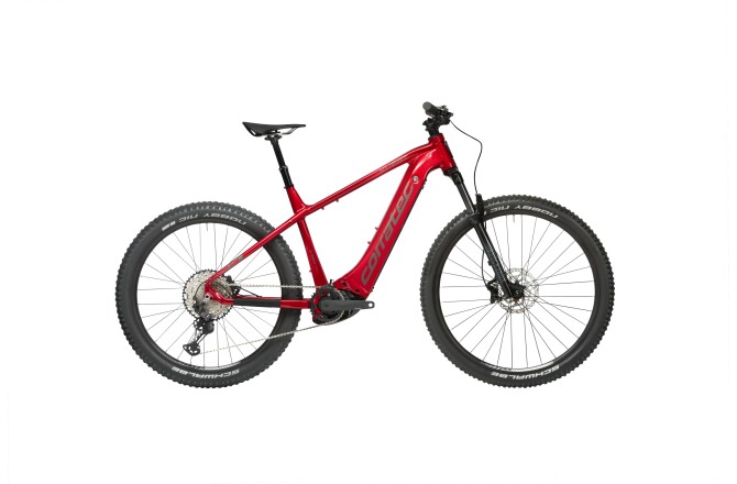 Corratec E-Power X Vert Pro Team SE