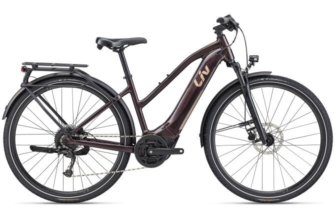 E-Bike Liv Amiti-E+ 2 [RC Dash] in Hanau