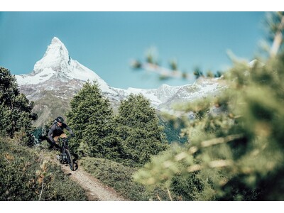 E-MTB Uproc