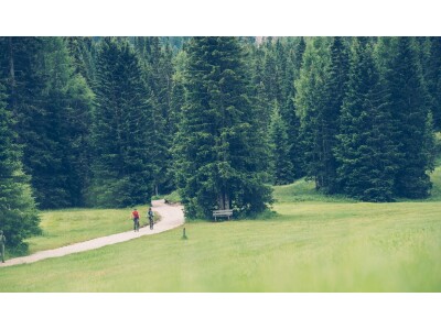 Trekking
