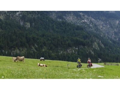 TREKKING/ TOURENBIKE
