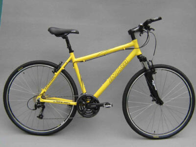 hier eine kleine Auswahl an individuellen Fahrrädern