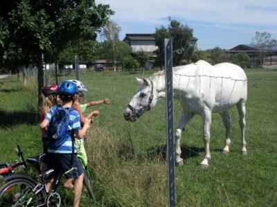 Donnerstag Fahrrad AG