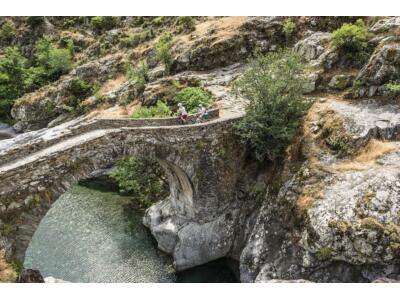 E-Bike Testcenter der Marken Flyer, Riese und Müller......