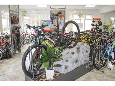 Herzlich Willkommen bei Fahrrad am Bächle in Oberwolfach