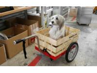 hinterher: Lastenanhänger