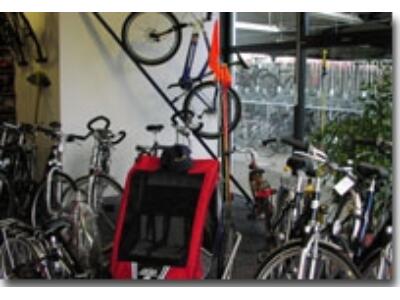 Das RadCenter-Team freut sich auf Sie!